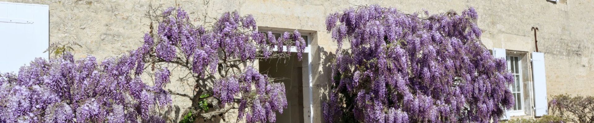 Mélissa et Romain, actuelle propriétaire des Gîtes de Chavigny – passion et respect du lieu Mélissa et Romain, actuelle propriétaire des Gîtes de Chavigny – passion et respect du lieu