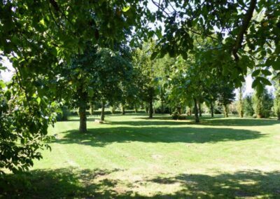 Grand parc verdoyant entourant les gîtes à Sainte-Gemme-la-Plaine